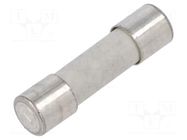 Fuse: fuse; 6.3A; 250VAC; quick blow SIBA