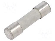 Fuse: fuse; 6.3A; 250VAC; quick blow SIBA