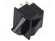 Switch: door; Pos: 2; SPST-NC; 5A/250VAC; Leads: connectors; 3140 BULGIN