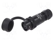 Connector: circular; plug; female; PIN: 2; IP67; SA12; 4÷6.5mm; 13A WEIPU