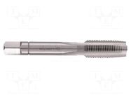 Tap; high speed steel; G 1/2"; Kind of holder: hand ALPEN-MAYKESTAG