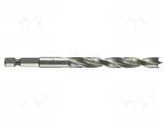 Drill bit; for wood; Ø: 3mm; L: 74mm; high speed steel; blister ALPEN-MAYKESTAG
