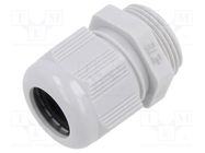 Cable gland; without nut; M25; 1.5; IP68; polyamide; light grey TE Connectivity