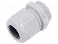 Cable gland; without nut; M25; 1.5; IP68; polyamide; light grey TE Connectivity