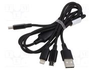 Cable; High Speed,USB 2.0; nickel plated; 1m; black; Core: Cu; 2A DIGITUS