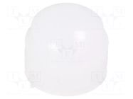 Fresnel lens; -25÷60°C; natural white; Detection: 30°x20° Murata Power Solutions