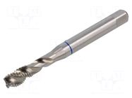 Tap; M10; 1.5; L: 100mm; Holder: machine; 8mm; ISO2/6H; C/39°RSP VÖLKEL