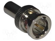 Connector: BNC; plug; male; straight; 75Ω; crimped; for cable; POM AMPHENOL RF