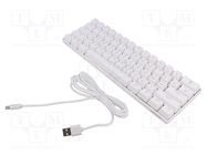 Keyboard; white; USB C; wired,US layout; 1.8m SAVIO