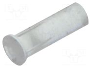 Fiber for LED; Ø1.3mm; L: 3mm; round; Front: flat; straight; PLPC1 BIVAR