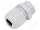 Cable gland; without nut; PG13,5; IP68; polyamide; light grey TE Connectivity