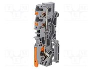 Splice terminal: rail; 0.5÷6mm2; ways: 1; terminals: 3; grey; 2104 WAGO