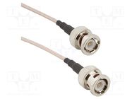 Cable; 50Ω; BNC male,both sides; straight; 0.5m AMPHENOL RF