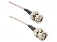 Cable; BNC male,both sides; straight; 1m; 50Ω AMPHENOL RF