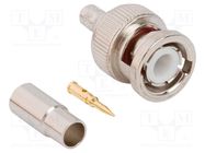 Plug; BNC; male; straight; 50Ω; crimped; for cable; POM; gold-plated AMPHENOL RF