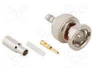 Connector: BNC; plug; male; straight; 75Ω; crimped; for cable; POM AMPHENOL RF