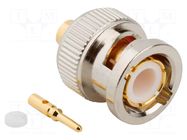 Connector: BNC; plug; male; straight; 50Ω; soldering; for cable AMPHENOL RF