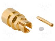 Connector: coaxial; plug; female; SMPM; soldering; for cable; 50Ω AMPHENOL RF