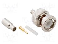 Connector: BNC; plug; male; straight; 50Ω; crimped; for cable; POM AMPHENOL RF