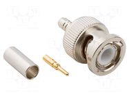 Connector: BNC; plug; male; straight; 50Ω; crimped; for cable; PTFE AMPHENOL RF