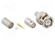 Connector: BNC; plug; male; straight; 50Ω; soldering,crimped; TPX AMPHENOL RF