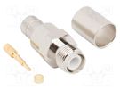Plug; RP-TNC; male,reverse; straight; 50Ω; soldering,crimped; PTFE AMPHENOL RF