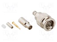 Connector: Mini BNC; plug; male; straight; 75Ω; soldering,crimped AMPHENOL RF