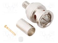 Connector: BNC; plug; male; straight; 75Ω; crimped; for cable; PTFE AMPHENOL RF