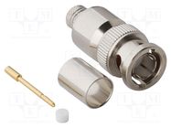 Connector: BNC; plug; male; straight; 75Ω; Canare L-5.5CUHD; PTFE AMPHENOL RF