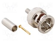 Connector: BNC; plug; male; straight; 75Ω; crimped; for cable; PTFE AMPHENOL RF