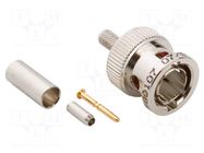 Connector: BNC; plug; male; straight; 75Ω; crimped; for cable; PTFE AMPHENOL RF