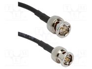 Cable; 75Ω; BNC male,both sides; straight; 0.61m AMPHENOL RF