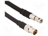 Cable; BNC HD male,BNC female; straight; 0.153m; 75Ω AMPHENOL RF