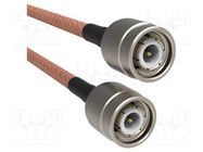 Cable; TNC male,both sides; straight; 1m; 50Ω AMPHENOL RF