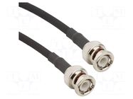 Cable; BNC male,both sides; straight; 1m; 50Ω AMPHENOL RF