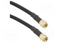 Cable; SMA male,both sides; straight; 1m; 50Ω AMPHENOL RF