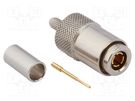 Plug; coaxial; male; straight; 75Ω; soldering,crimped; for cable AMPHENOL RF