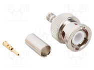 Connector: BNC; plug; male; straight; 50Ω; crimped; for cable; PTFE AMPHENOL RF