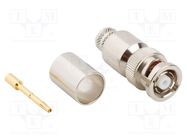 Connector: RP-BNC; plug; reverse,female; straight; 50Ω; crimped AMPHENOL RF