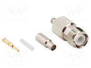 Plug; RP-TNC; male,reverse; straight; 50Ω; crimped; for cable; PTFE AMPHENOL RF