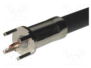 Connector: coaxial; plug; straight; 50Ω; THT; for cable; -40÷80°C AMPHENOL RF