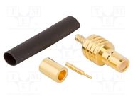 Connector: SMB; socket; male; straight; 50Ω; soldering,crimped AMPHENOL RF