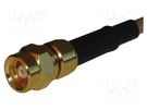 Plug; SMC; female; straight; 50Ω; soldering,crimped; for cable AMPHENOL RF