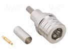 Plug; coaxial; male; straight; 50Ω; crimped; for cable; -65÷165°C AMPHENOL RF