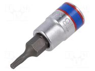 Socket; socket spanner; Bit: Torx®; Size: TX08; 1/4"; 37mm KING TONY