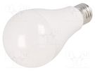 LED lamp; cool white; E27; 230VAC; 1750lm; 17.3W; 180°; 6500K GTV Poland