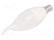 LED lamp; cool white; E14; 230VAC; 720lm; 8W; 160°; 6400K GTV Poland