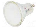 LED lamp; neutral white; GU10; 230VAC; 270lm; 3W; 110°; 4000K GTV Poland
