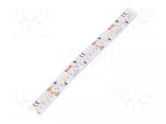 LED tape; white warm/cold white; LED/m: 252; 10mm; IP20; 120° KLUŚ
