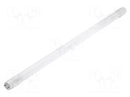 LED lamp; G13; 230VAC; 900lm; 9W; 270°; 6000K; CRImin: 80; 30pcs. VIRONE